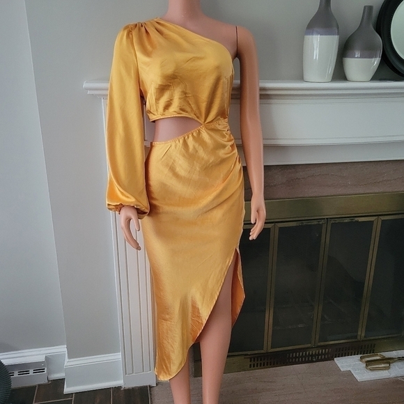 Alice elle NWT Dress size 12. - Picture 14 of 15